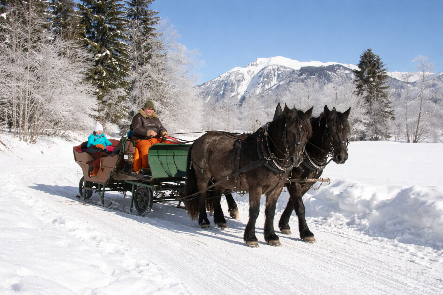 Pferdeschlitten im Schnee